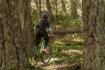 Donna in mountain bike in una foresta tra le montagne canadesi — Foto stock