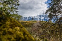 Donna mountain bike in una foresta nelle montagne canadesi in B — Foto stock