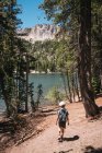 Visão traseira do menino caminhando pela floresta perto de Lake Mary, Mammoth Lakes, Califórnia, EUA. — Fotografia de Stock
