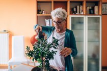 Frau kümmert sich um Bonsai-Baum — Stockfoto