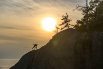 Silhouette of man on cliff, Ontario, Canada — Stock Photo