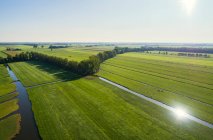 A típica paisagem polder holandesa no final do verão, Langera — Fotografia de Stock