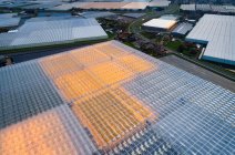 Greenhouses in the Netherlands at dusk — Stock Photo