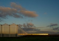Теплицы в Нидерландах на рассвете — стоковое фото