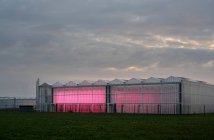 Greenhouse with experimental LED lighting, early in the morning — Stock Photo