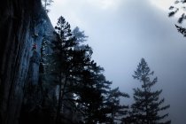 Canada, British Columbia, Squamish, Man rock climbing — Stock Photo