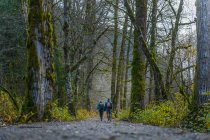 Canadá, Columbia Británica, Squamish, Senderismo de hombres en el bosque - foto de stock
