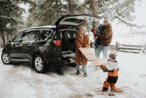 Канада, Онтаріо, сім'я з дітьми (12-17 місяців, 2-3) розпаковування багажника машин — стокове фото