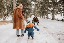 Canada, Ontario, Genitori con bambino (12-17 mesi) in cammino invernale — Foto stock