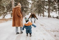 Canadá, Ontario, Los padres con el niño (12-17 meses) va a caminar de invierno - foto de stock