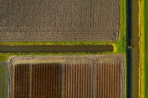 Нидерланды, Норд-Брабант, Оуд-Фель, Воздушный вид на культурные поля — стоковое фото