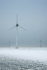 Países Bajos, Frisia, Rutten, Turbinas eólicas en el campo cubierto de nieve - foto de stock