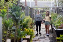 Australia, Melbourne, Two women talking at community garden — Stock Photo