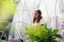 Australia, Melbourne, Donna che lavora nel giardino comunitario — Foto stock