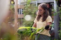 Australia, Melbourne, Donna che lavora nel giardino comunitario — Foto stock