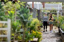 Australia, Melbourne, Dos mujeres caminando por el camino en el jardín comunitario - foto de stock