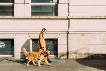 Italy, Woman with dog walking along street — Stock Photo