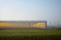 Netherlands, Gelderland, Brakel, Illuminated greenhouse in foggy field — Stock Photo