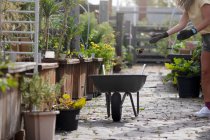Australia, Melbourne, Wheelbarrow on path in community garden — Stock Photo