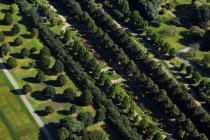 Великобритания, Лондон, Вид с воздуха на лодки в Риджентс-парке — стоковое фото
