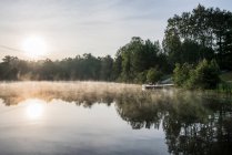 Canadá, Ontario, Lago y bosque al atardecer - foto de stock