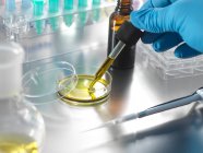 Wissenschaftler hält Pipette mit ätherischem Öl — Stockfoto