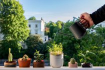 UK, London, Mans hand watering potted plant on window sill — Stock Photo