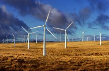 Reino Unido, Gales, Powys, Turbinas eólicas en el campo - foto de stock
