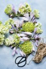 Studio shot di fiori di primavera, forbici e spago — Foto stock