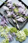 Studio shot di fiori di primavera su vassoio — Foto stock