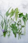 Studio colpo di fiori di campo assortiti e foglie — Foto stock