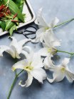 Studioaufnahme weißer Lilien mit abgeschnittenen Staubgefäßen — Stockfoto