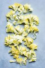 Estúdio tiro de pétalas de flor de cravo amarelo — Fotografia de Stock