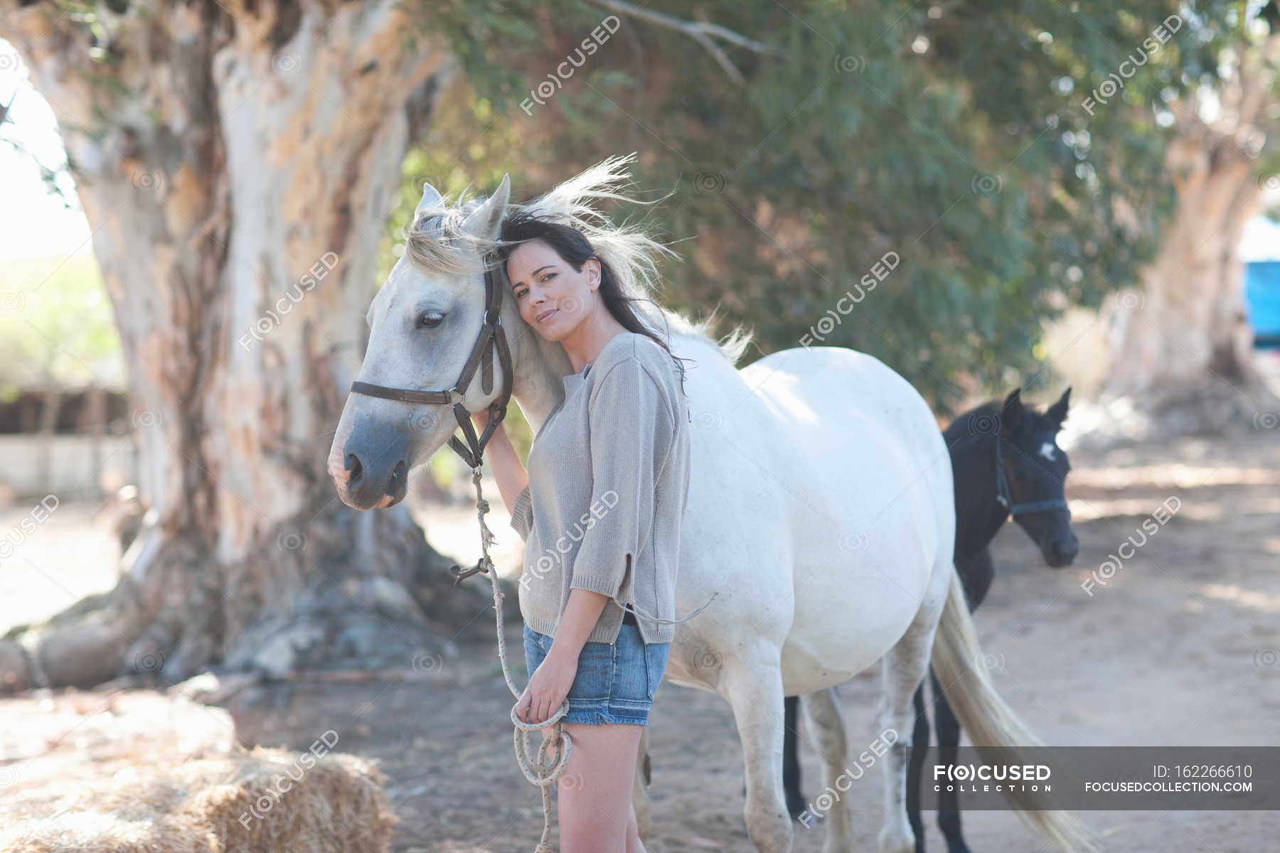 Woman leaning on horse neck — rope, Animal Themes - Stock Photo ...