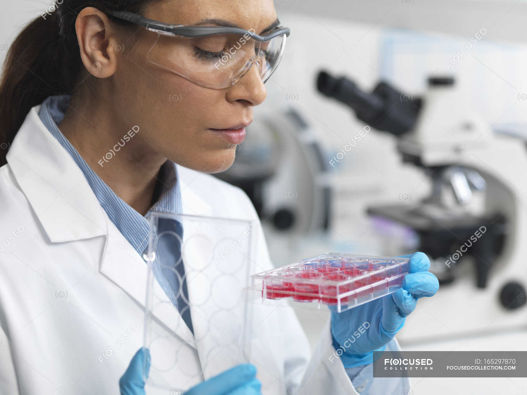 Female scientist examining cell culture in multiwell dish — experiment