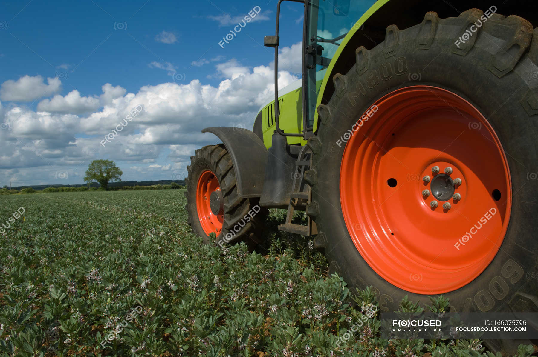 tractor-driving-through-crops-nature-outdoors-stock-photo-166075796