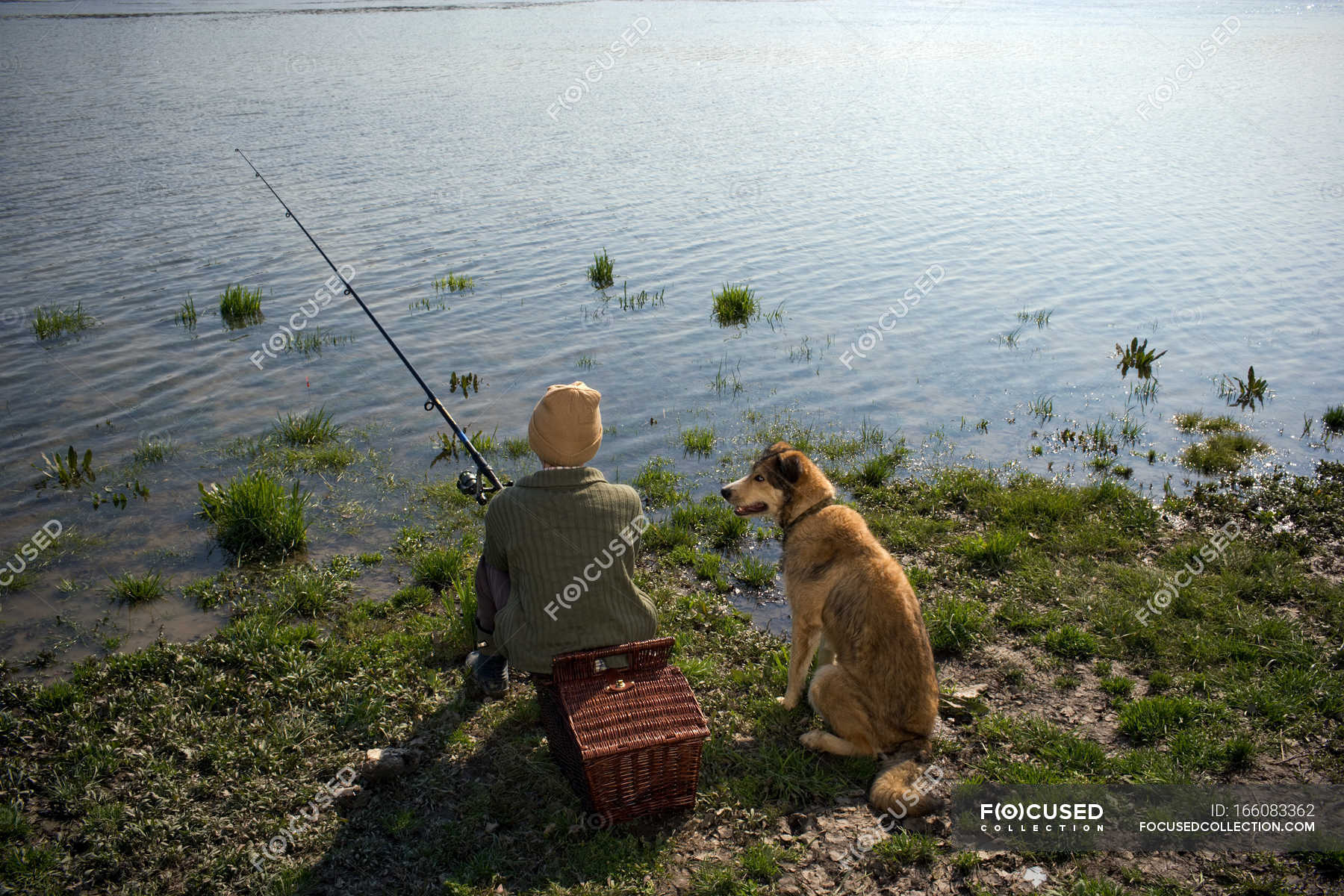 Dog fishing. Собака для рыбалки. Собака Рыбак. Мальчик с собакой на рыбалке. Рыбак с собакой на рыбалке.