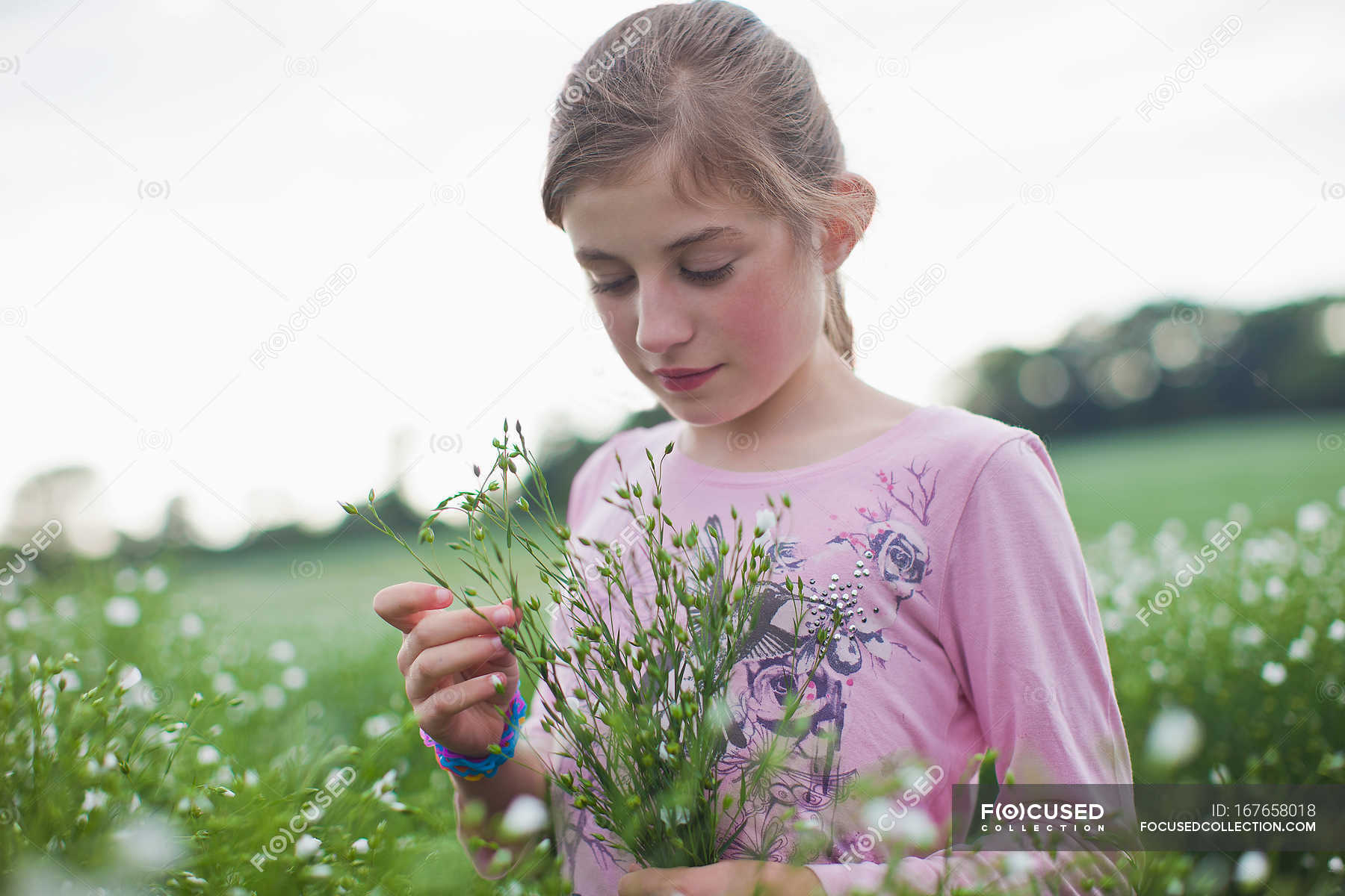 Pick is flower. Женщина собирает цветы. Перфесона собирает цветы. Дети собирают цветы фото в высоком разрешении. Алиса собирает цветы.