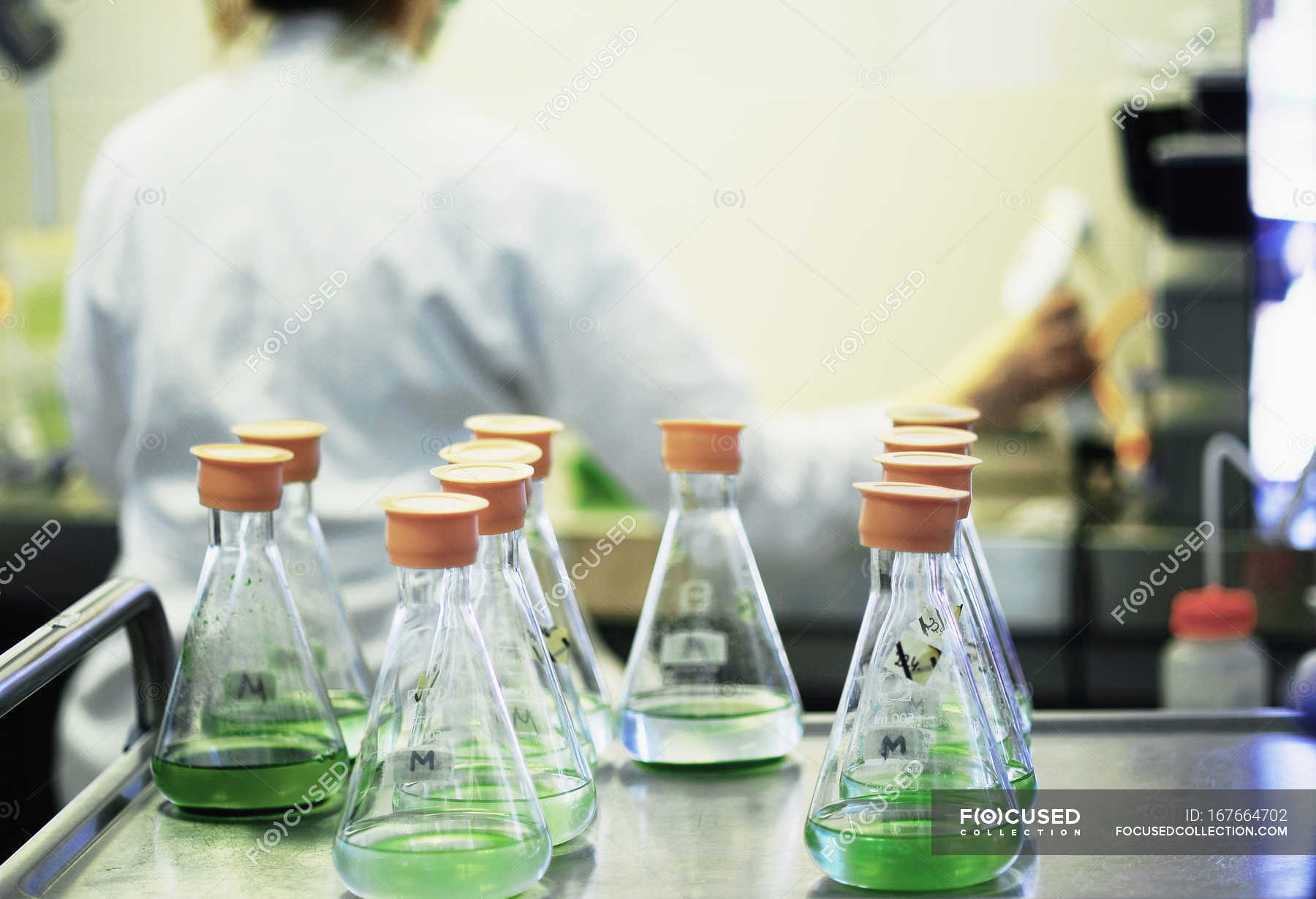 Test tubes of plant cultures in lab with person on background — liquid, people Stock Photo