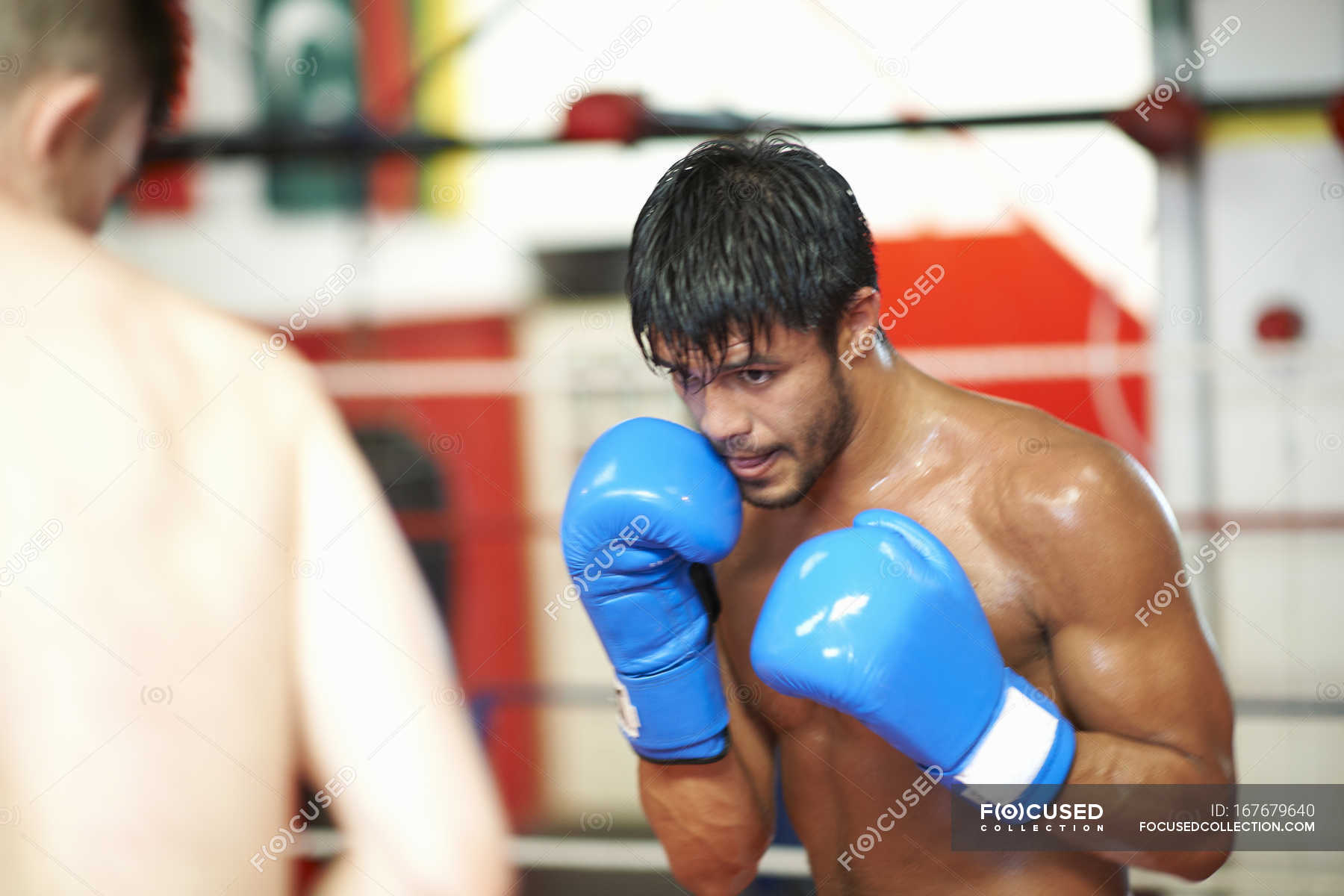 Two boxers sparring in boxing ring — Differential Focus, competition