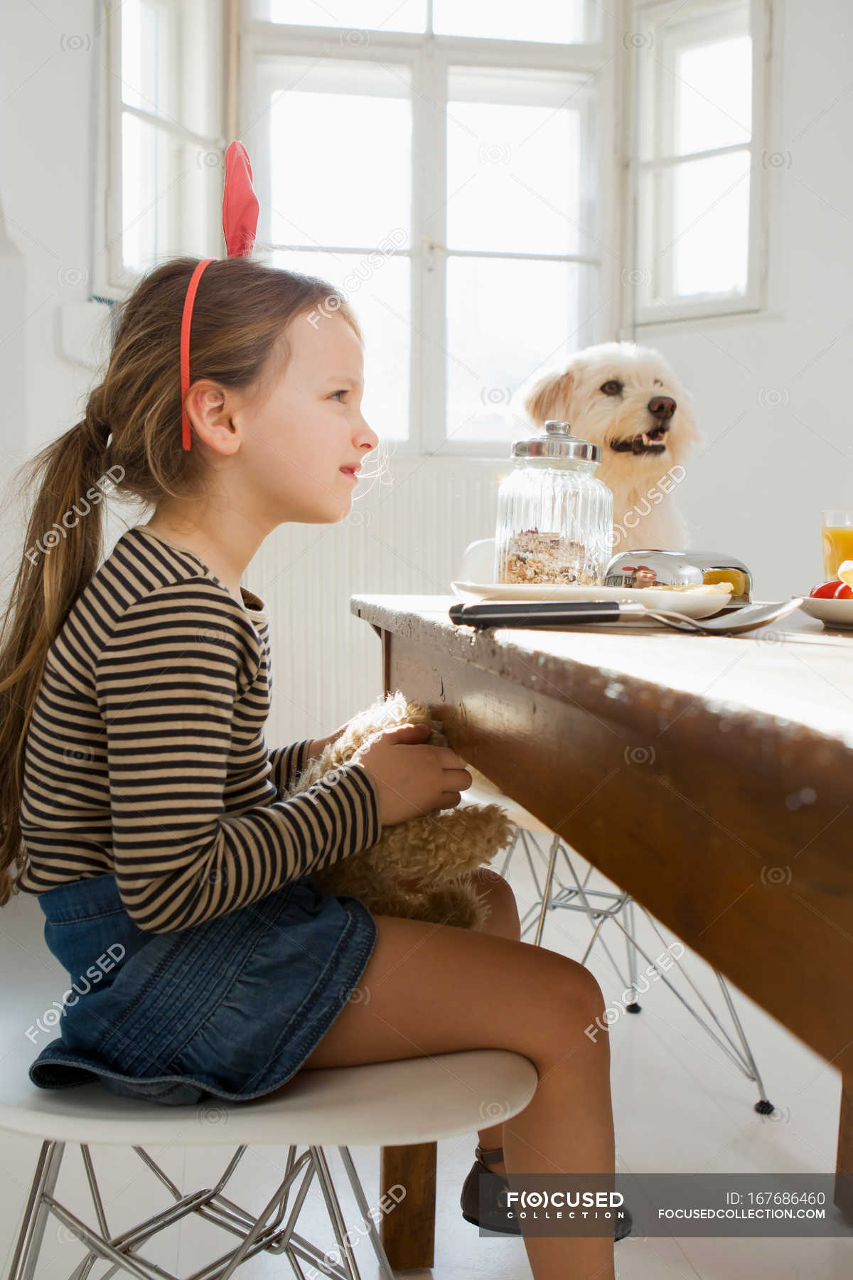 Girl And Dog Sitting At Table In Kitchen One Animal Side View