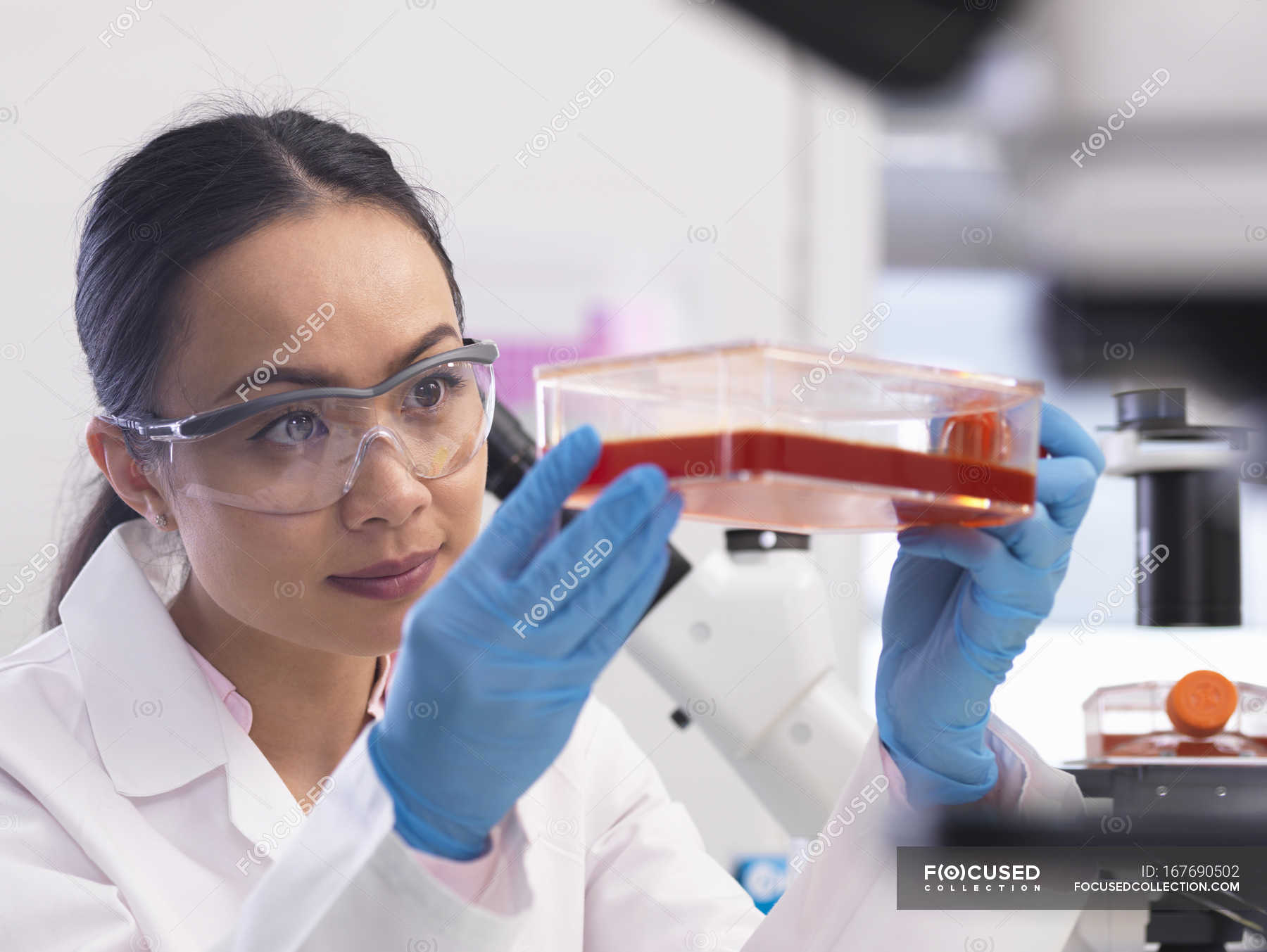 female-scientist-examining-cell-cultures-growing-in-a-culture-jar-in