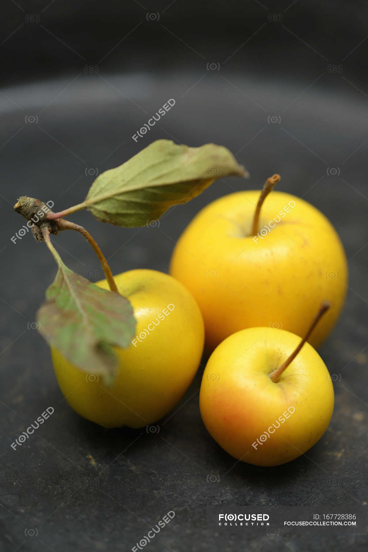 Yellow crab apples — close up, nature Stock Photo 167728386