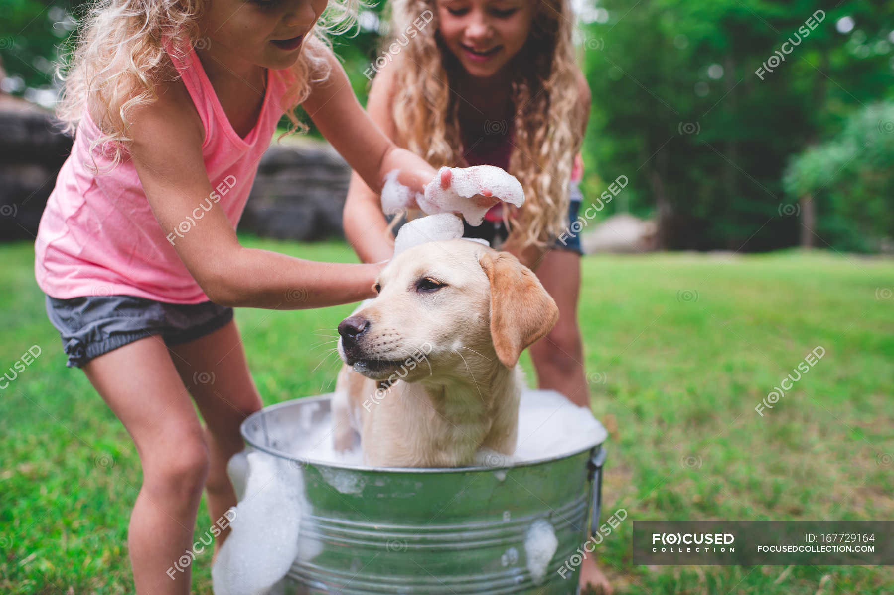 how many times to bathe a labrador puppy