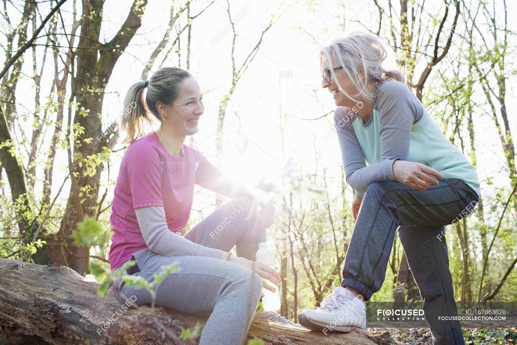 Women in forest sitting on fallen tree face to face smiling — leg ...