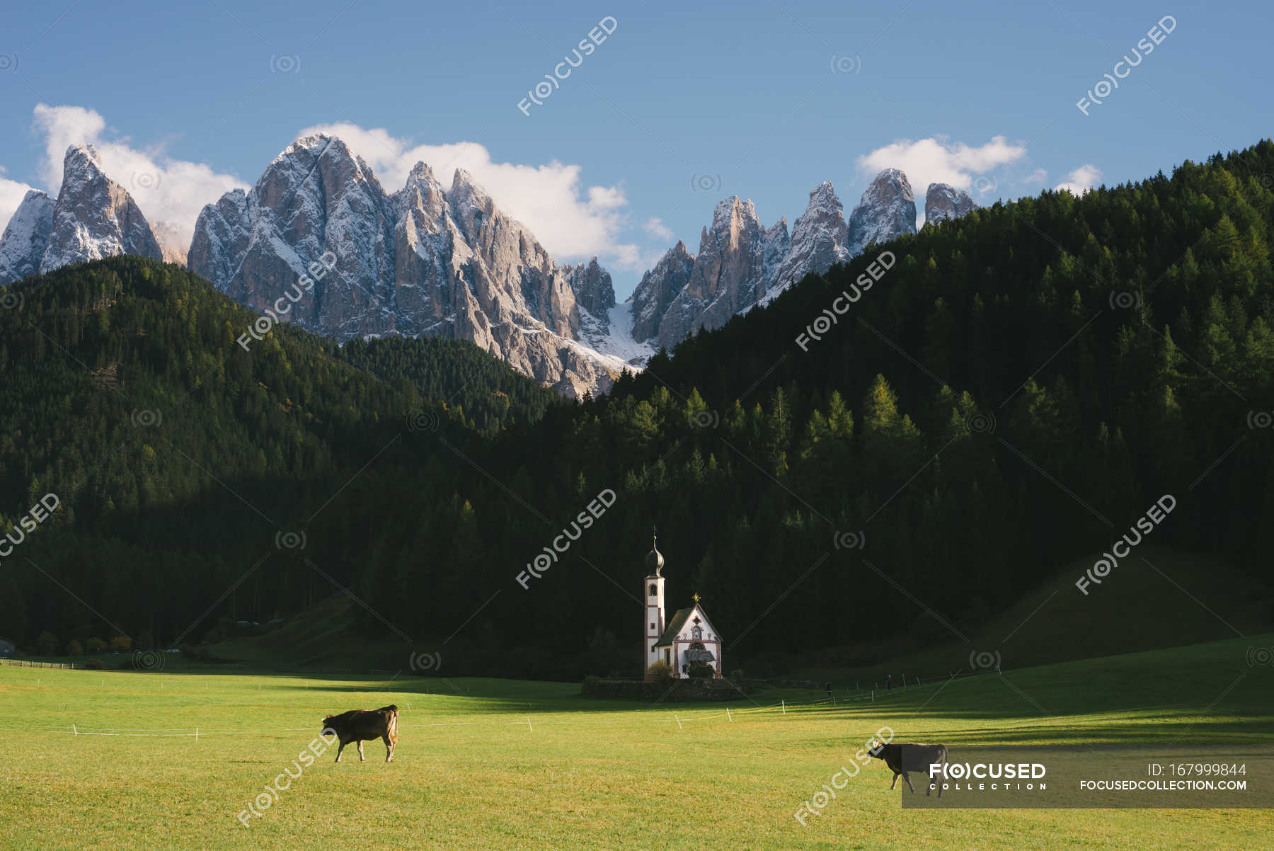 Campo santo Stockfotos, lizenzfreie Bilder Focused