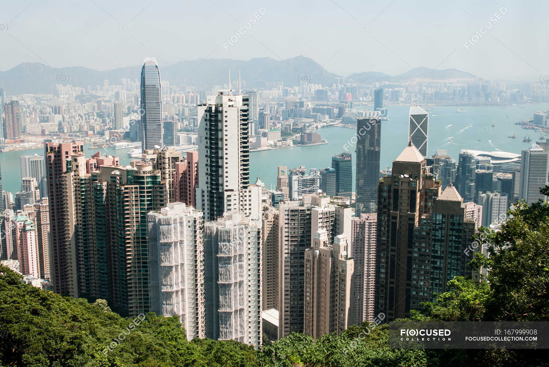 Огороженный город гонконг. Гонконг небоскребы. Гонконг 2 иркутск. Китай город гонконг. Нью йорк гонконг.