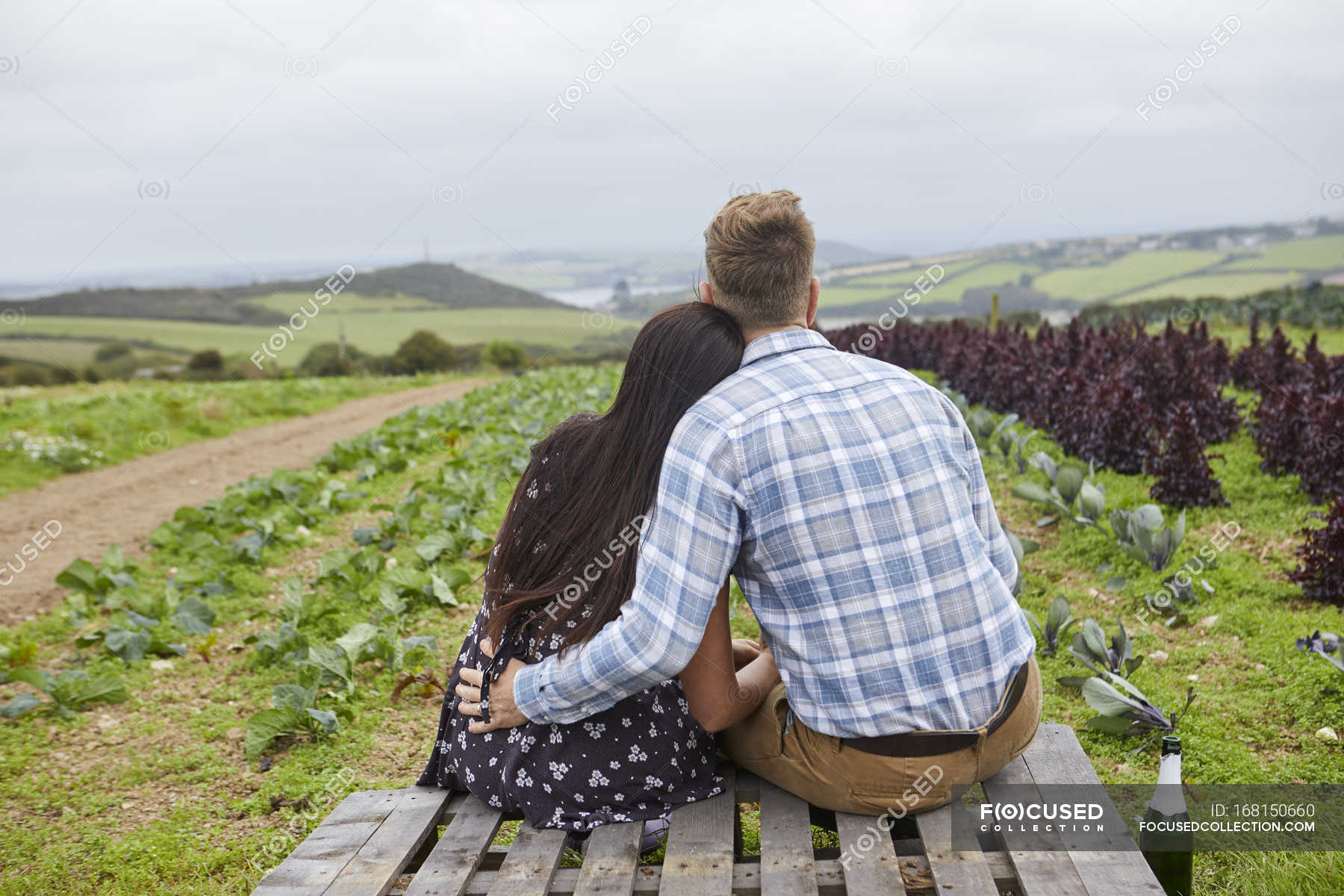 hafu dog dating