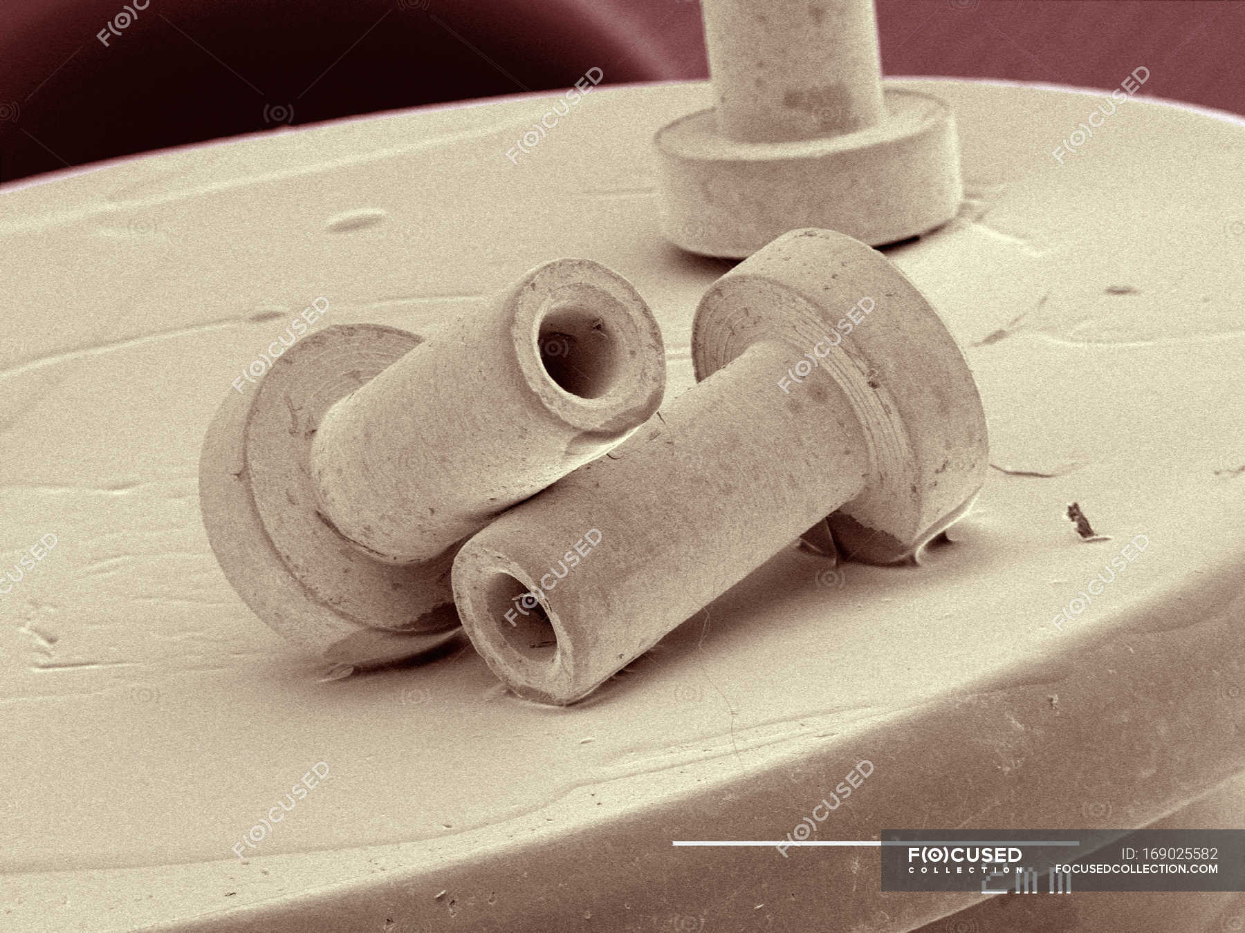 Coloured Scanning Electron Micrograph Of Rivets Science Nobody