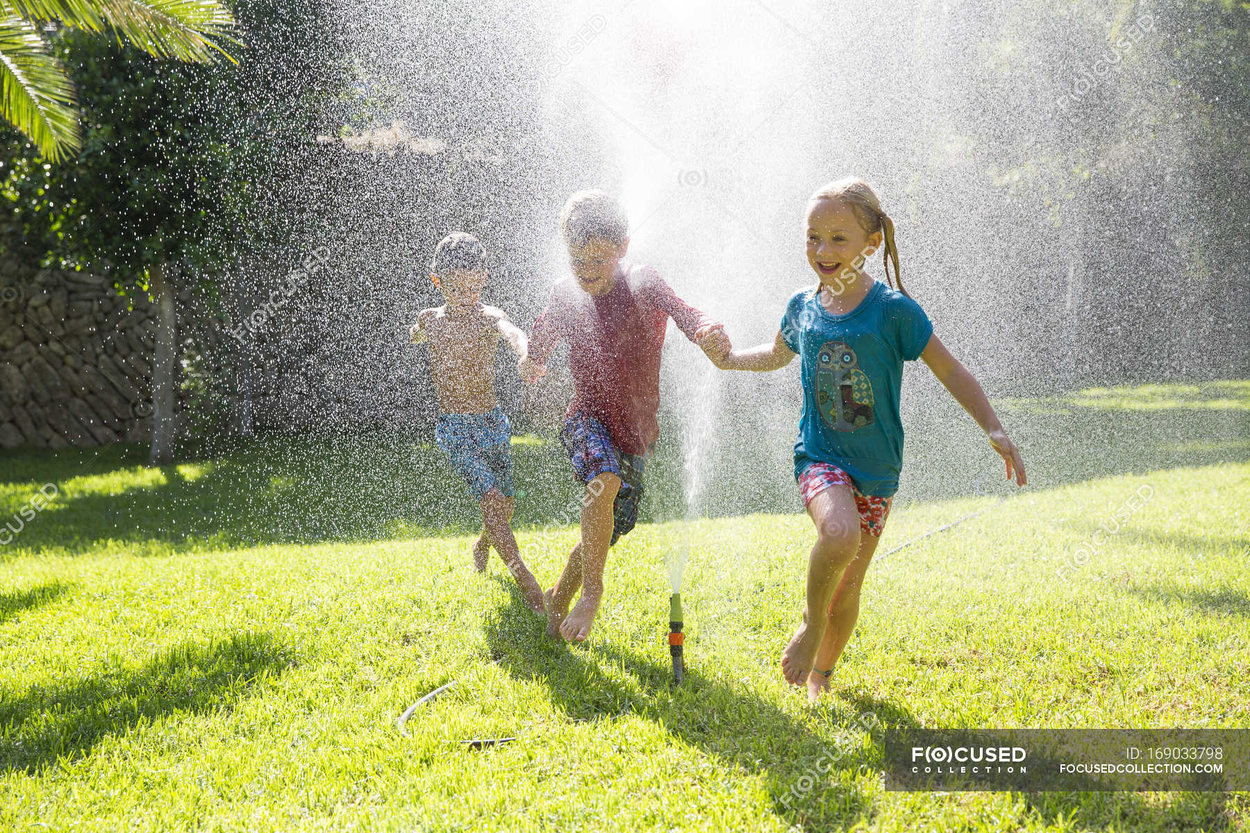 Three children in garden running through water sprinkler — only ...